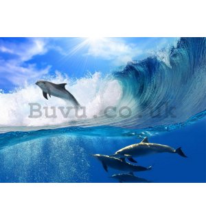 Wall Mural: Dolphins - 254x368 cm