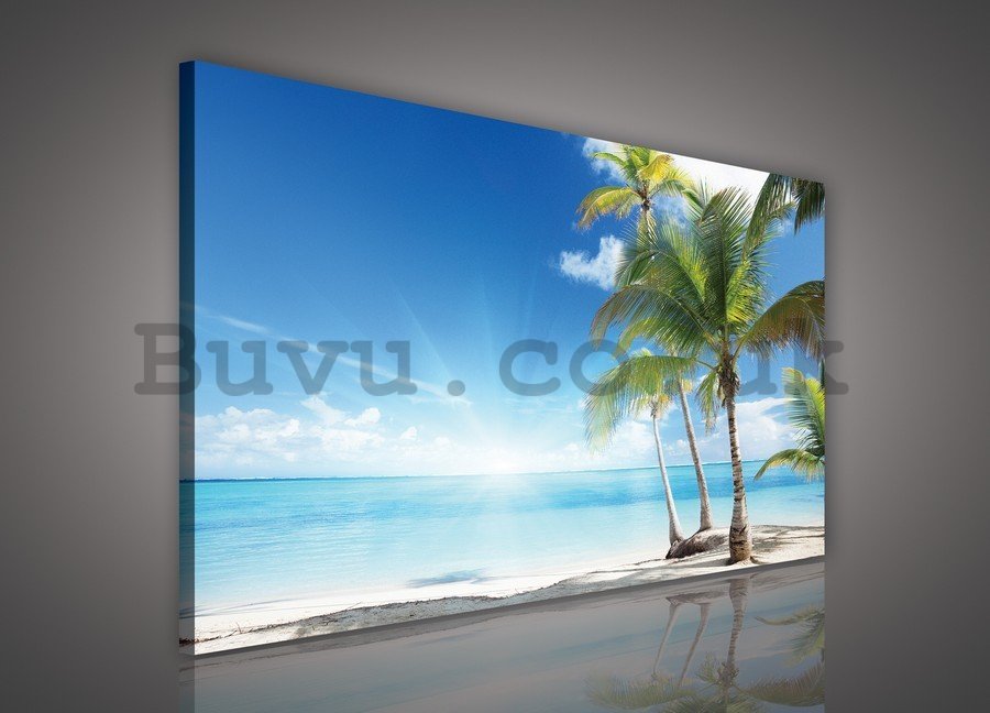Painting on canvas: Palm trees on the Beach - 75x100 cm