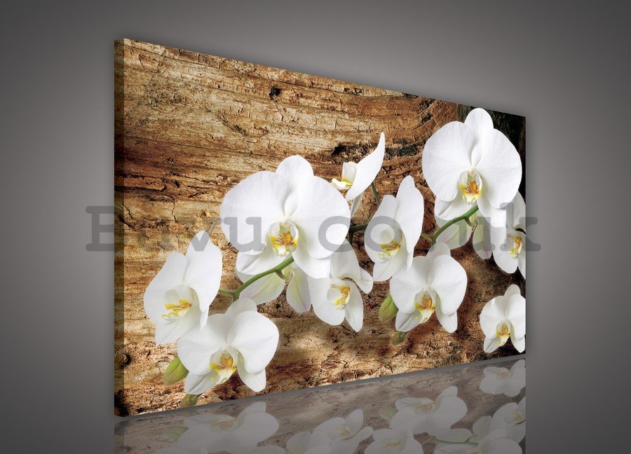 Painting on canvas: Orchids on wood - 75x100 cm