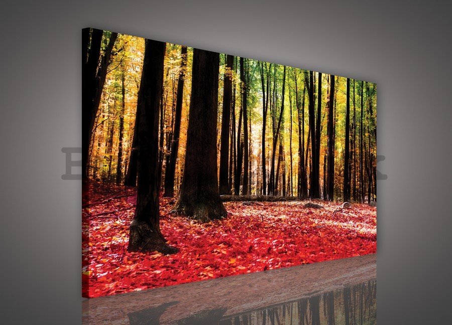 Painting on canvas: Forest (3) - 75x100 cm