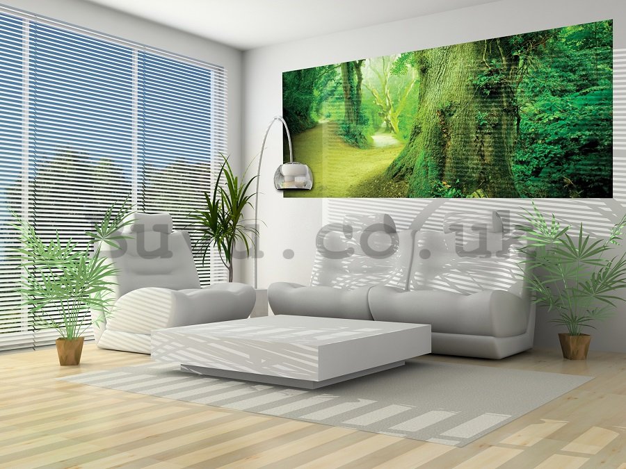 Wall Mural: Magical forest - 104x250 cm
