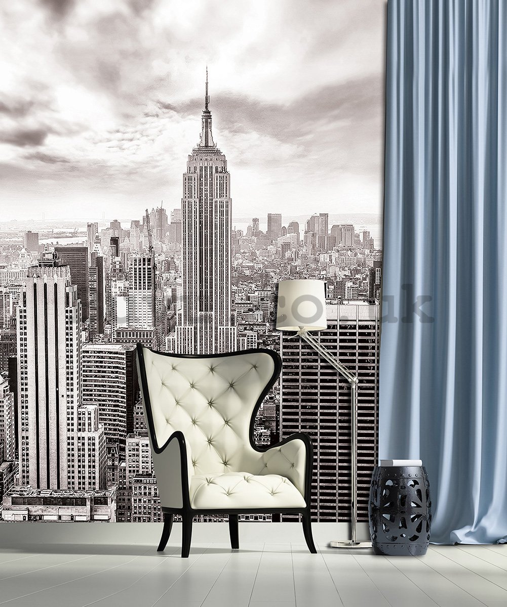 Wall Mural: View on New York (black and white) - 254x184 cm