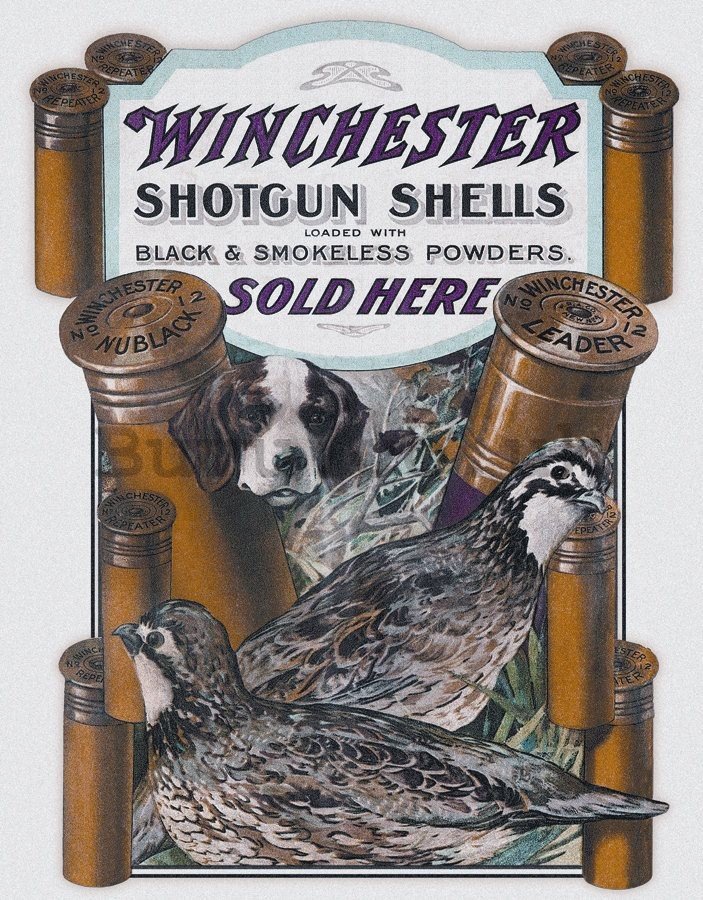 Metal sign - Winchester (Cartridges)