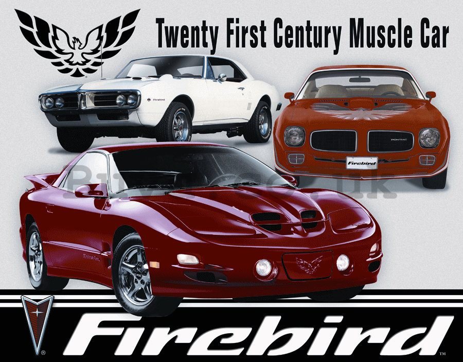 Metal sign - Pontiac Firebird