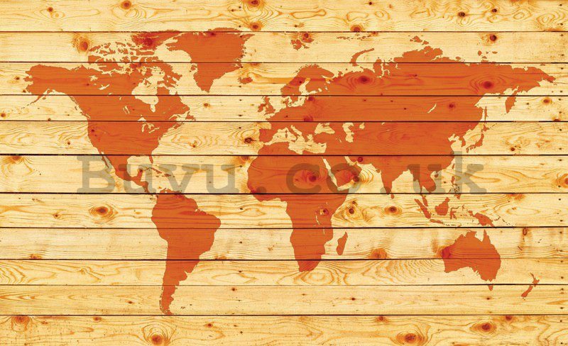 Wall Mural: Wooden map of the world - 254x368 cm
