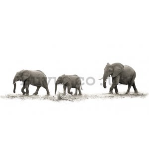 Painting on canvas: Mario Moreno, The Elephants