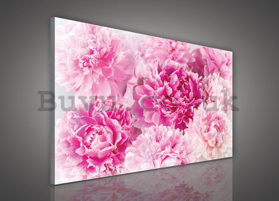 Painting on canvas: Pink Roses (2) - 75x100 cm