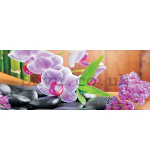 Wall Mural: Orchid (1) - 104x250 cm