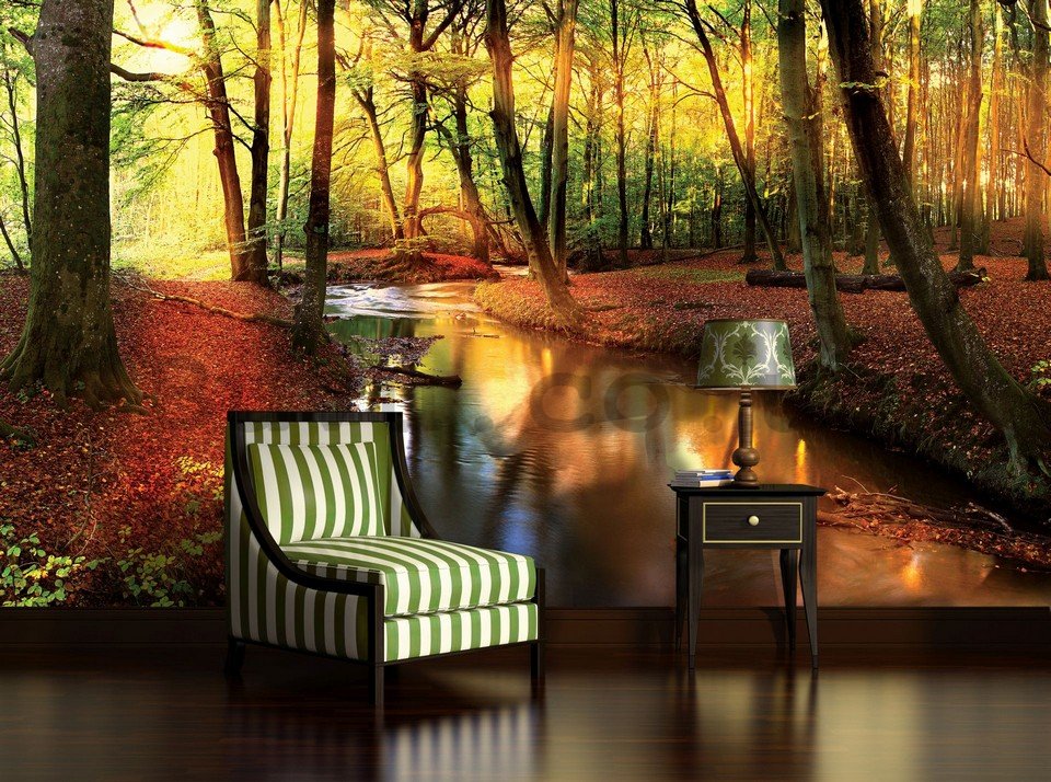 Wall Mural: Forest brook (2) - 254x368 cm