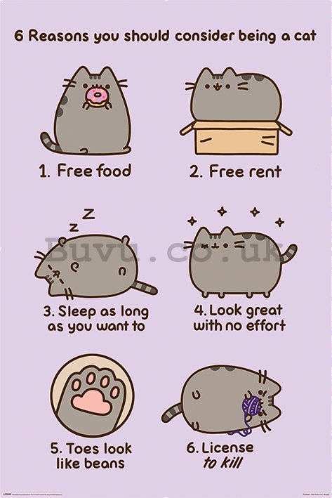 Poster - Pusheen (Reasons to be a Cat)