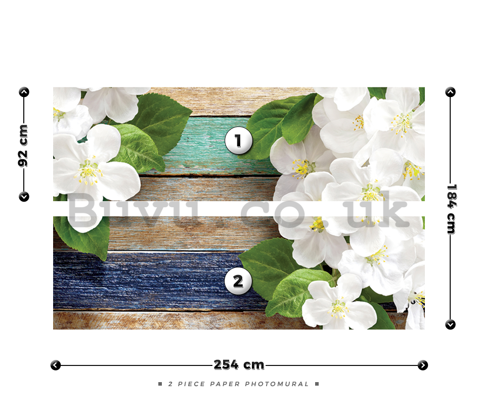 Wall Mural: White orchids (1) - 184x254 cm