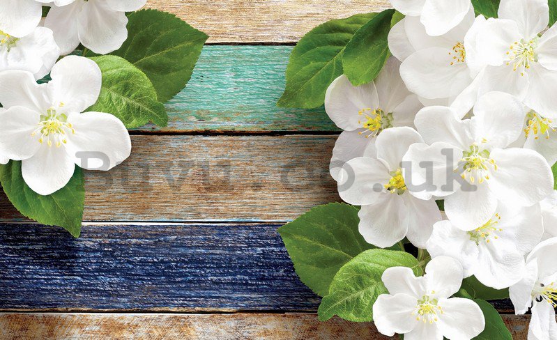 Wall Mural: White orchids (1) - 254x368 cm