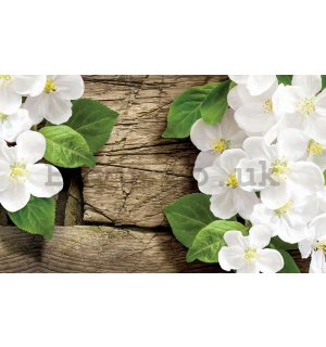 Wall Mural: White orchids (2) - 184x254 cm