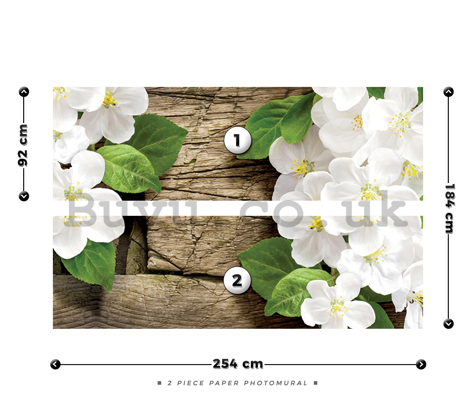 Wall Mural: White orchids (2) - 184x254 cm