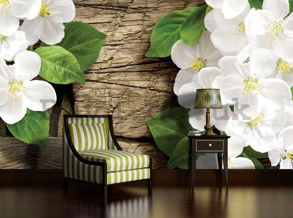 Wall Mural: White orchids (2) - 254x368 cm