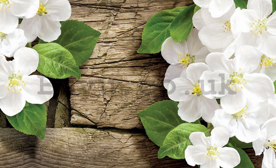 Wall Mural: White orchids (2) - 254x368 cm