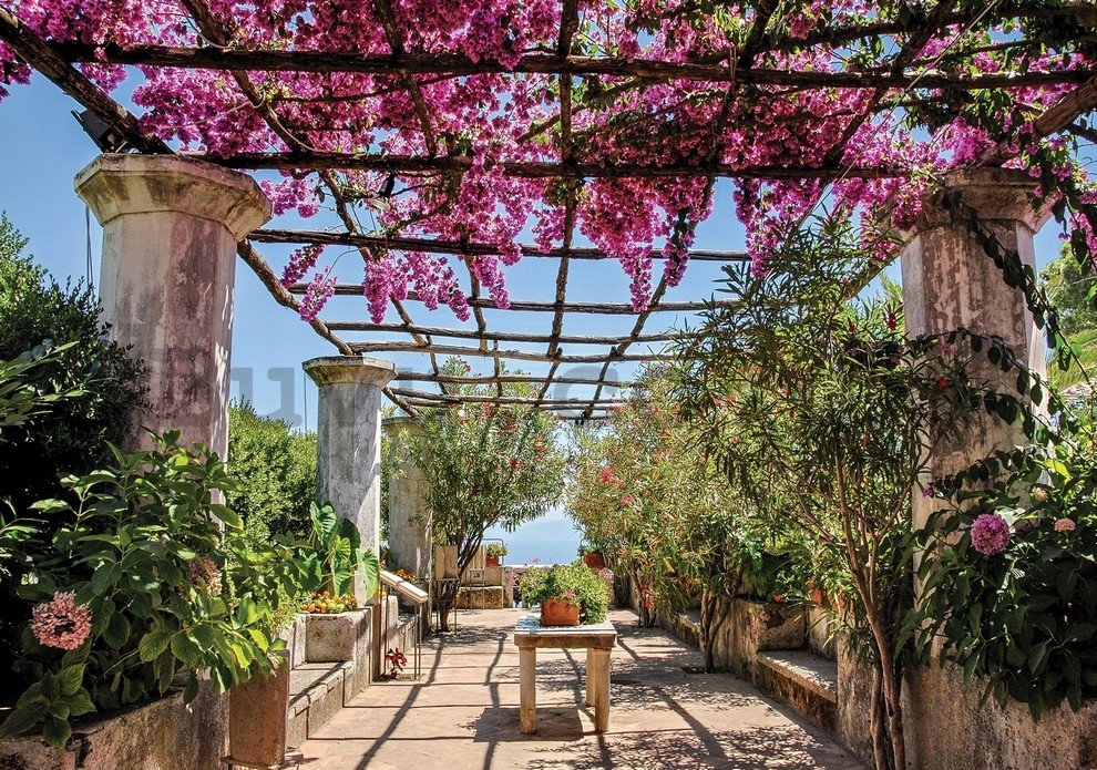 Wall Mural: Pergola with flowers - 184x254 cm
