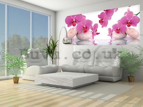 Wall Mural: Orchid and stones - 104x250 cm