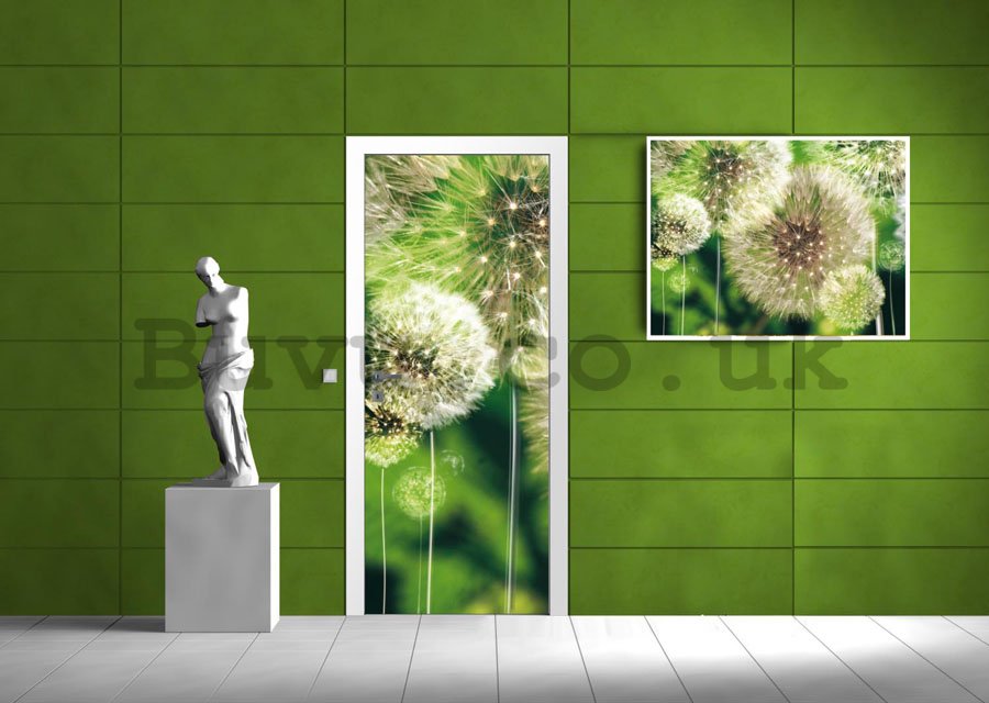 Photo Wallpaper Self-adhesive: Dandelions - 211x91 cm