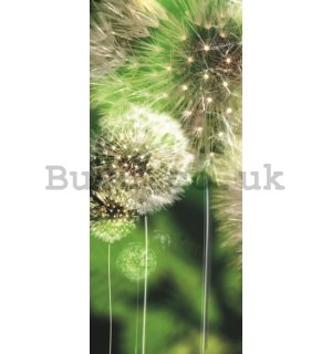 Photo Wallpaper Self-adhesive: Dandelions - 211x91 cm