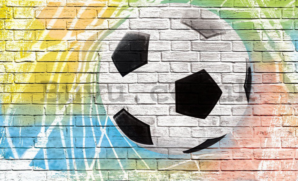 Wall Mural: Football ball (painted) - 184x254 cm