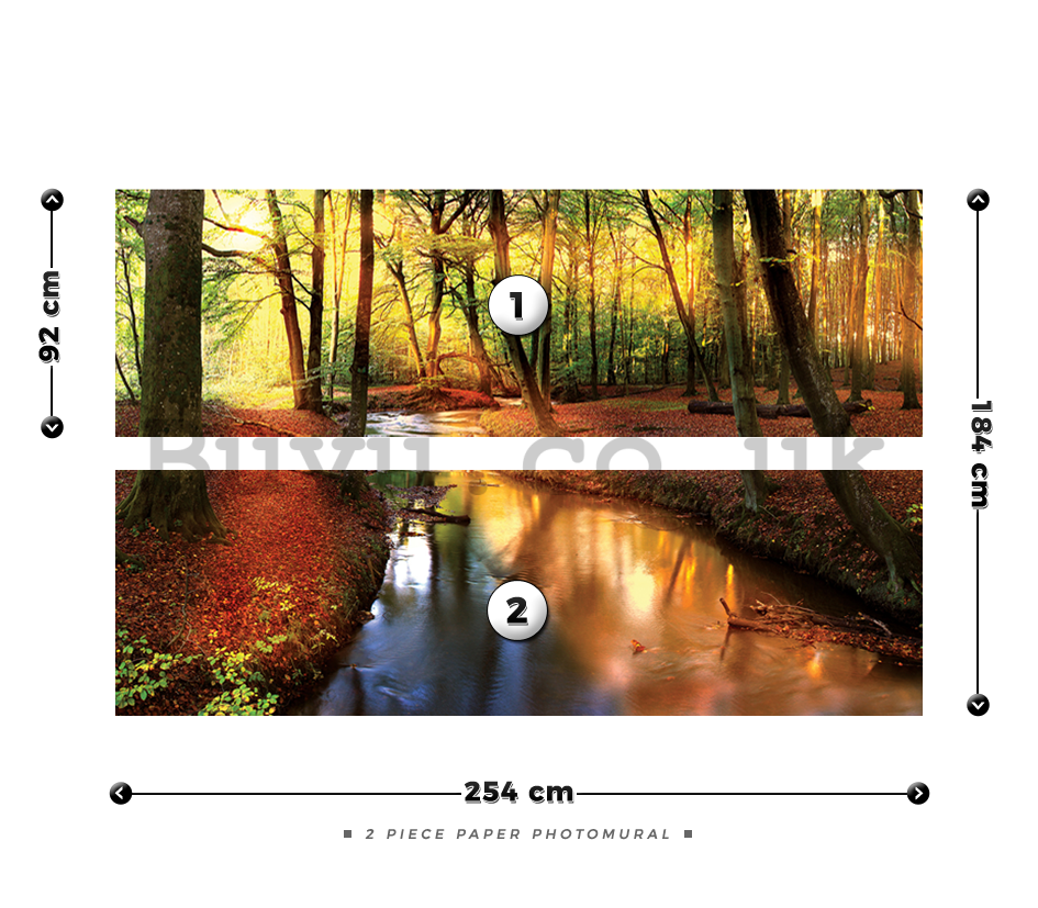 Wall Mural: Forest brook (2) - 184x254 cm