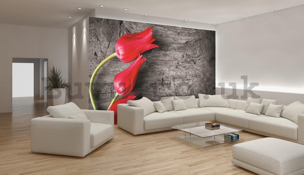 Wall Mural: Red tulips - 184x254 cm