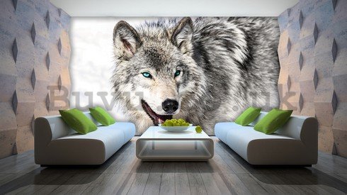 Wall Mural: Wolf (2) - 184x254 cm