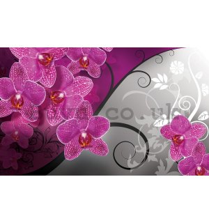 Wall Mural: Orchids (3) - 184x254 cm