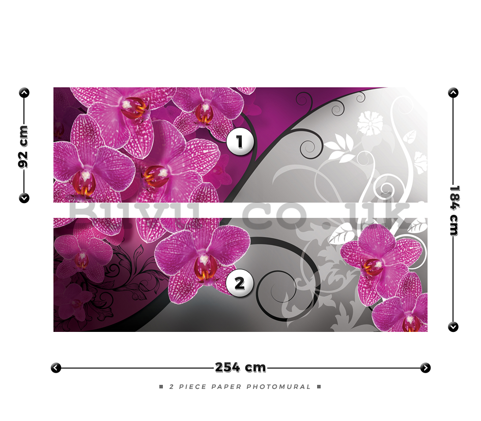 Wall Mural: Orchids (3) - 184x254 cm
