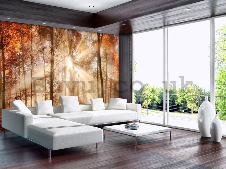 Wall Mural: Forest waterfalls (1) - 184x254 cm