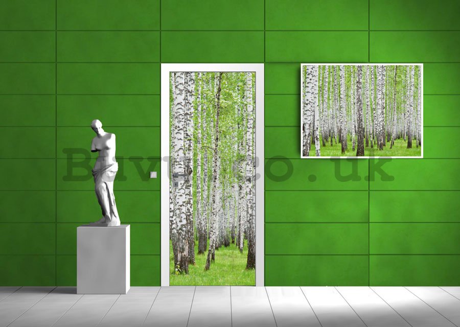 Photo Wallpaper Self-adhesive: Birch trees (1) - 211x91 cm