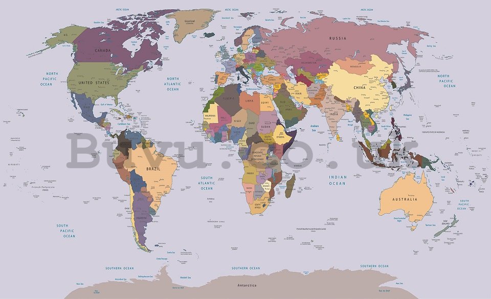 Wall Mural: Map of the world (1) - 254x368 cm