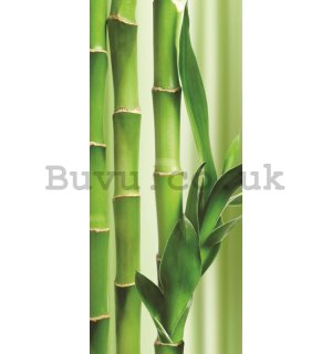 Photo Wallpaper Self-adhesive: Bamboo - 211x91 cm