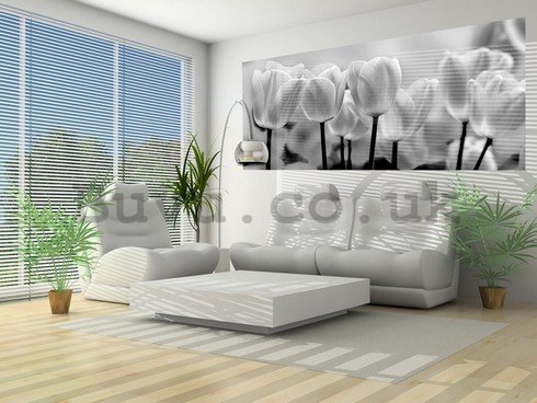 Wall Mural: White and black tulips - 104x250 cm