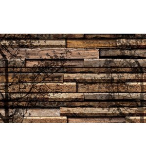 Wall Mural: Shaded boards - 254x368 cm