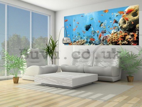 Wall Mural: Coral reef - 104x250 cm