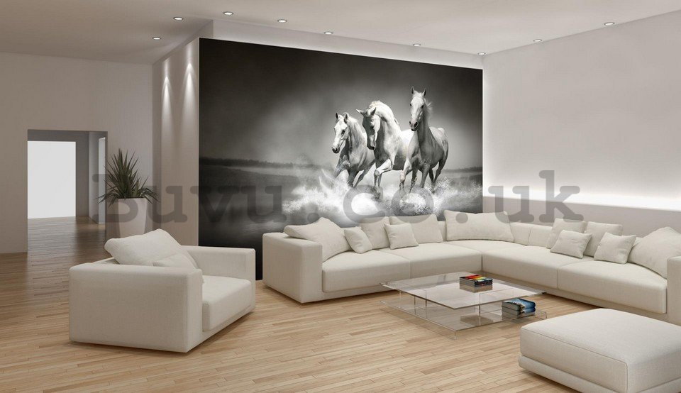 Wall Mural: Horses (1) - 254x368 cm