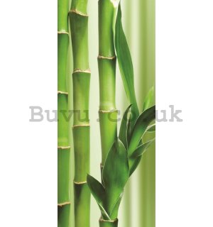 Wall Mural: Bamboo - 211x91 cm