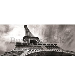Wall Mural: Eiffel Tower (2) - 104x250 cm