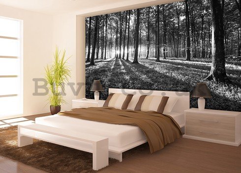 Wall Mural: Black and white forest (1) - 184x254 cm