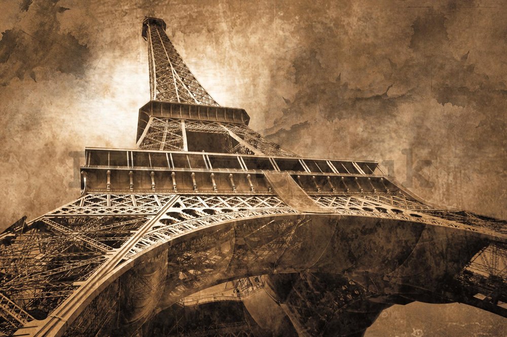 Wall Mural: Eiffel Tower (3) - 254x368 cm
