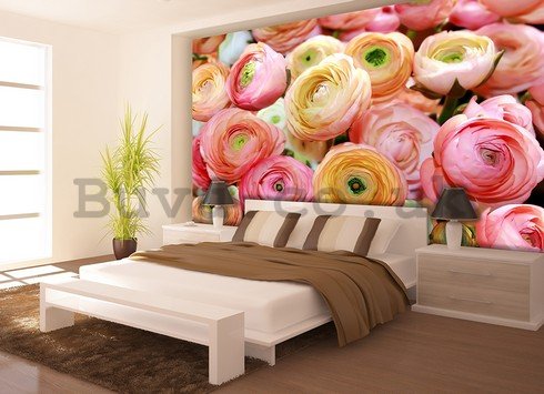 Wall Mural: Orange and pink roses  - 184x254 cm