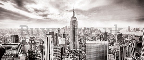 Wall Mural: View on New York (black and white) - 104x250 cm