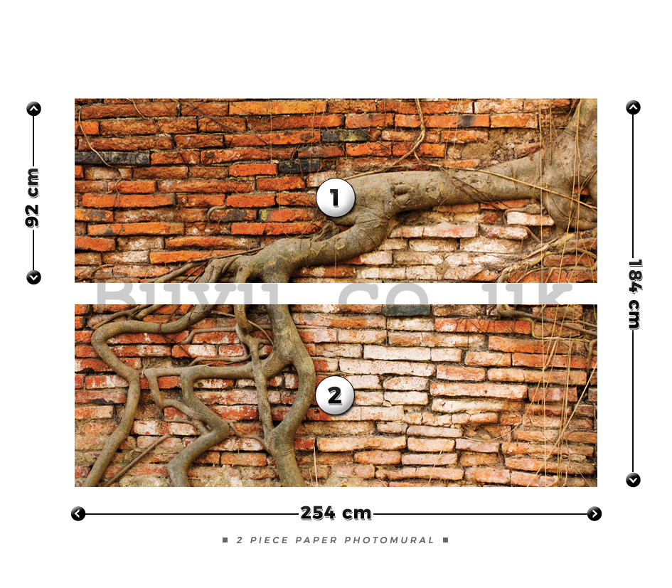 Wall Mural: Roots - 184x254 cm