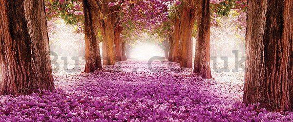 Wall Mural: Blossom alley (1) - 104x250 cm