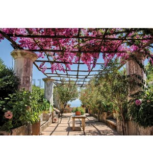Wall Mural: Pergola with flowers - 254x368 cm