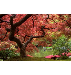 Wall Mural: Blossoming tree - 184x254 cm