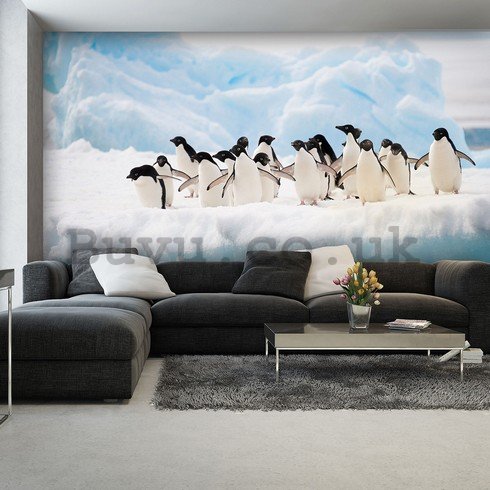 Wall Mural: Pinguins - 184x254 cm