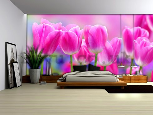 Wall Mural: Violet tulips - 254x368 cm